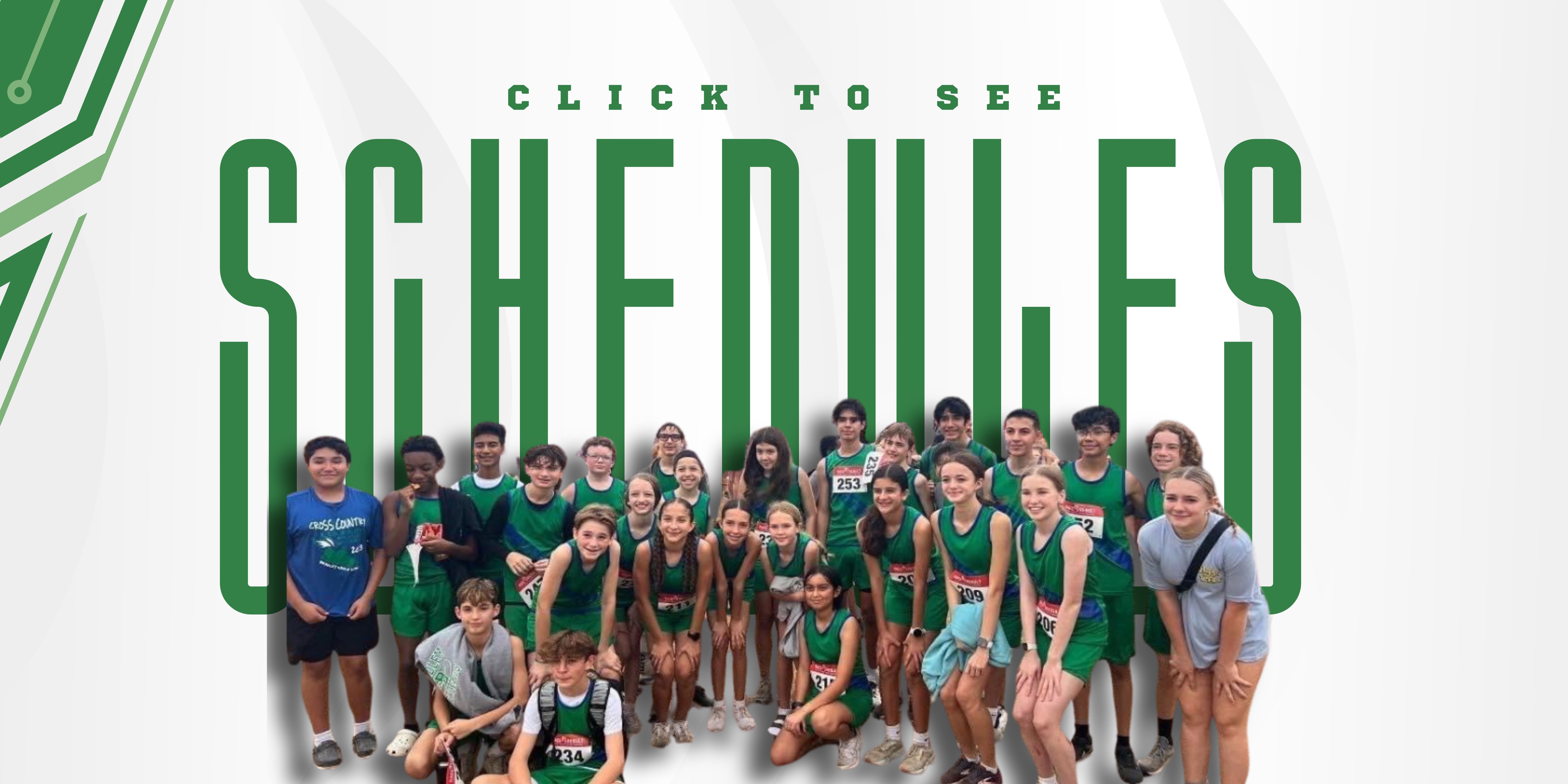 schedule promo